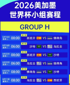 世界杯实时比分界面