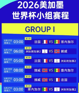世界杯赛场激烈对抗 买球站实时比分
